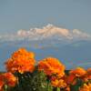 Mont-Blanc - Switzerland